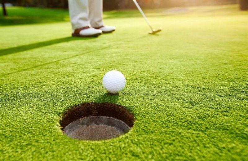 crop-2765-840x560-putting-in-840x560_800x520