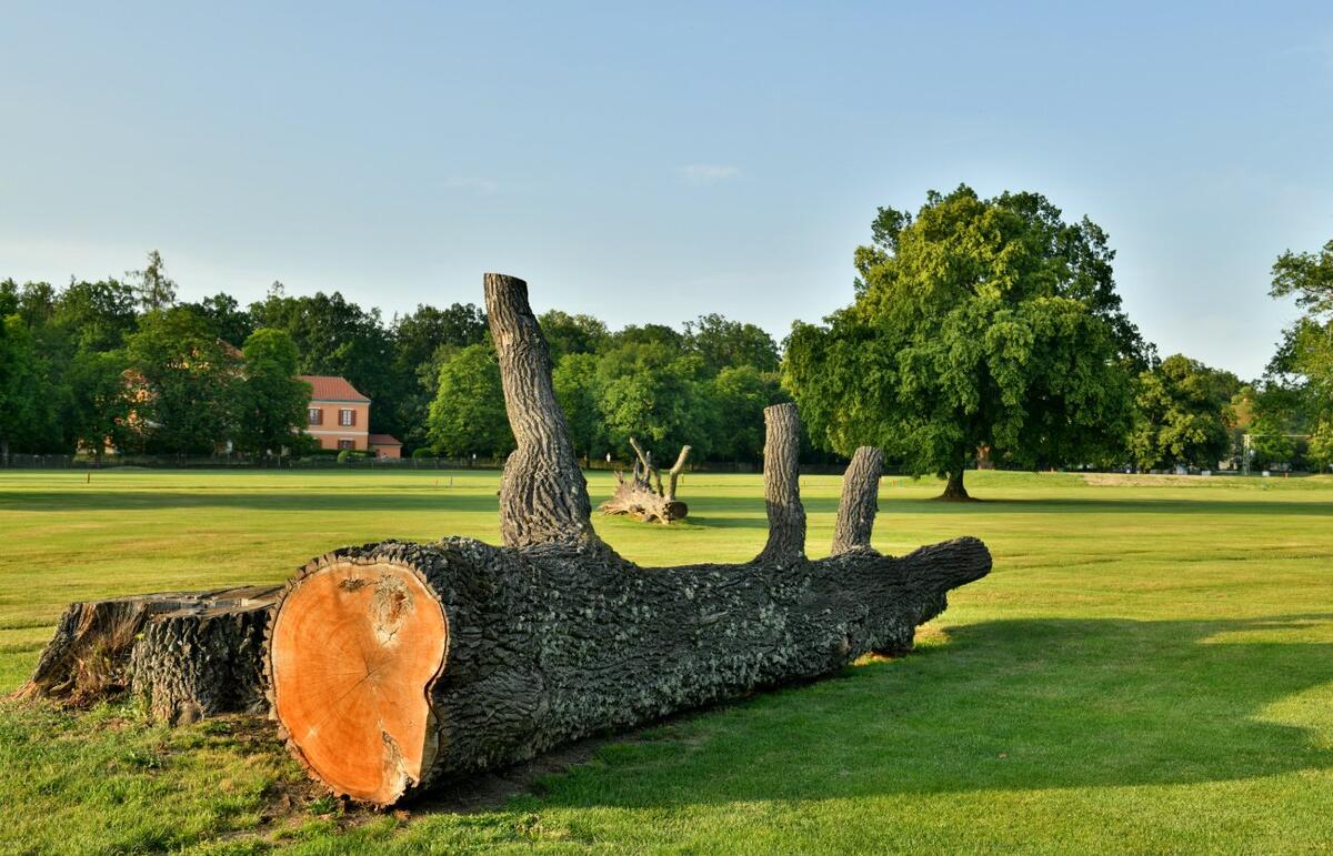 Bechyne-golf-0017-2018-06-08-Photo-Zdenek-Sluka