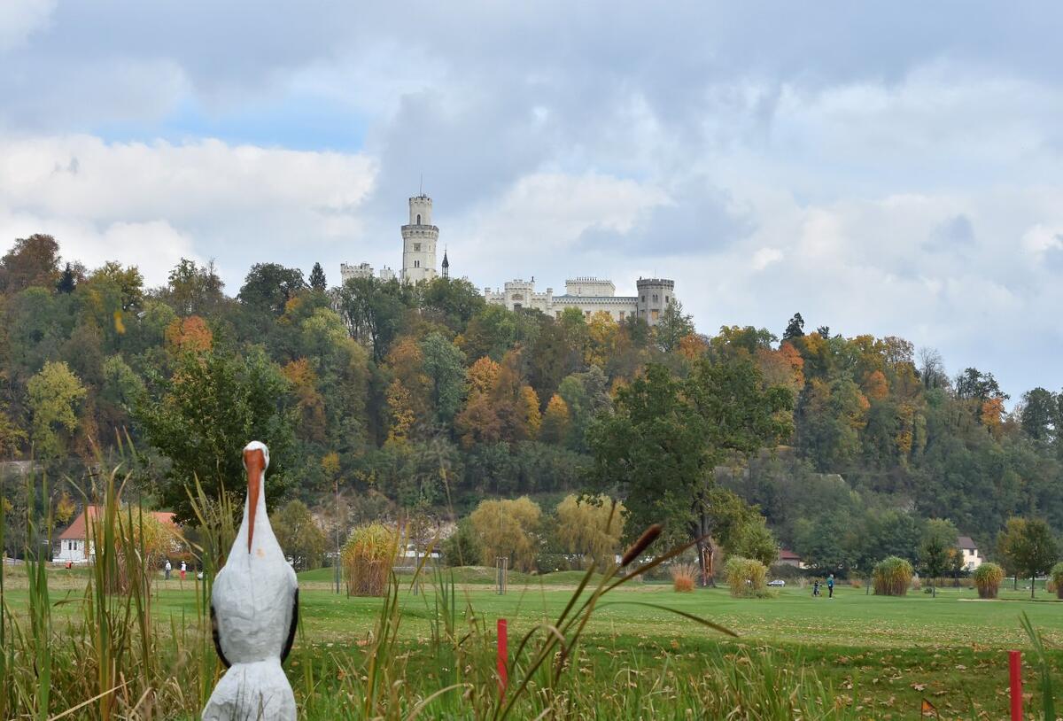 Hluboka-07.2017-photo-Zdenek Sluka-0004
