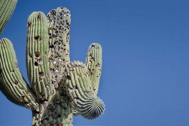 profimedia-0160339938