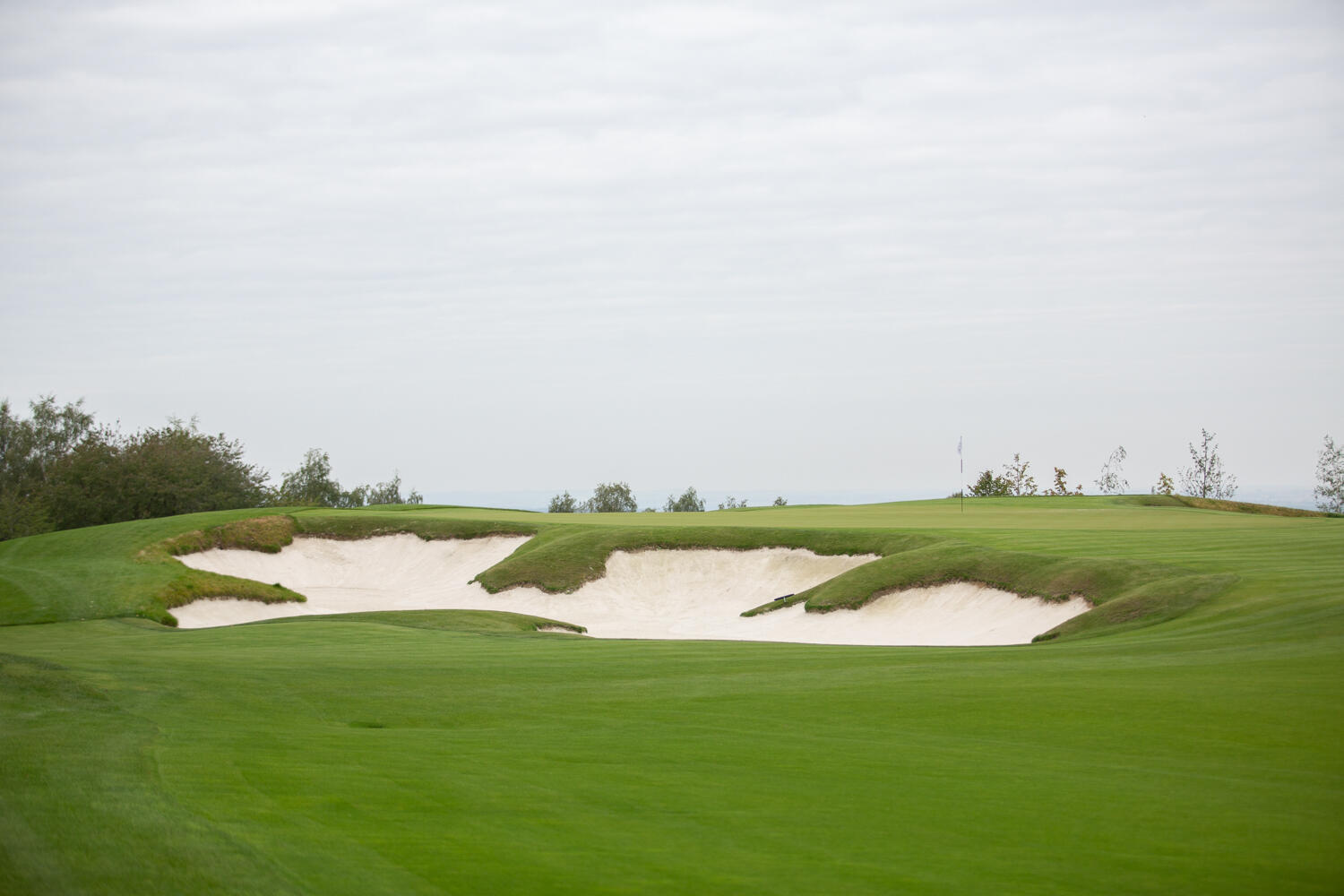 CGL Oaks-131