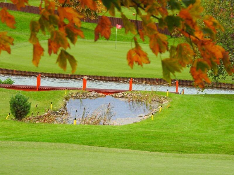 deco_hriste_2_1920-e1550833870132