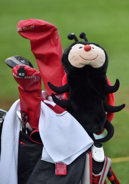 Beruška_Padraig_Harrington_Irsko