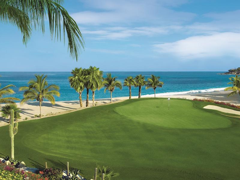 Palmilla-MX-4web