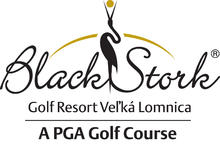 Logo Black Stork